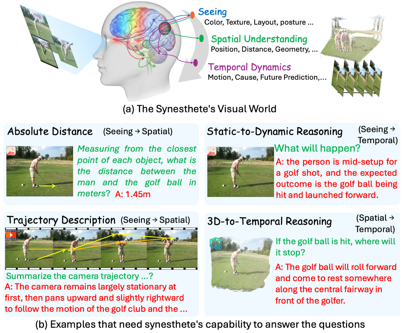 Overview figure for the Poly-V paper